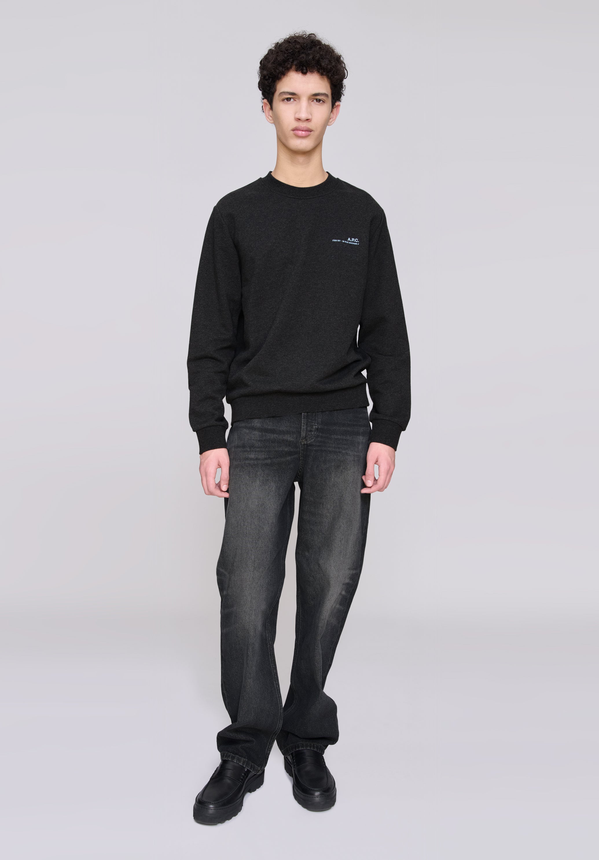 Standard Item sweatshirt - 1
